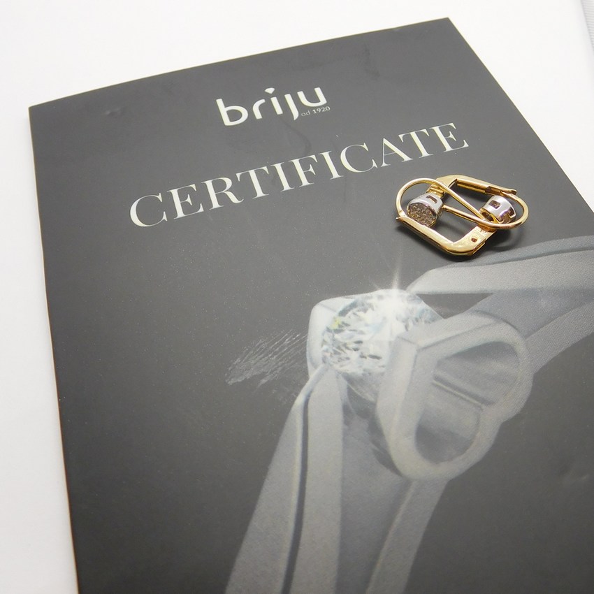 Klenoty Budín Diamantové zlaté náušnice s diamanty (bílé a žluté zlato) 585/1,73gr BO185 HKD63