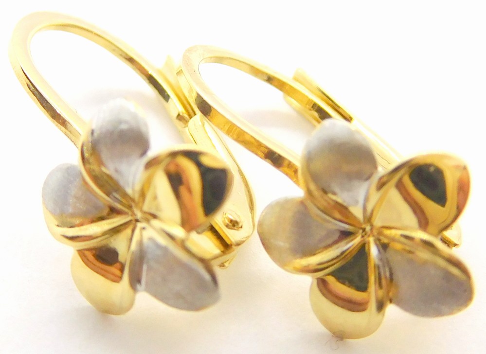 Klenoty Budín Dámské klasické zlaté náušnice z bílého a žlutého zlata 585/1,52gr HK2155