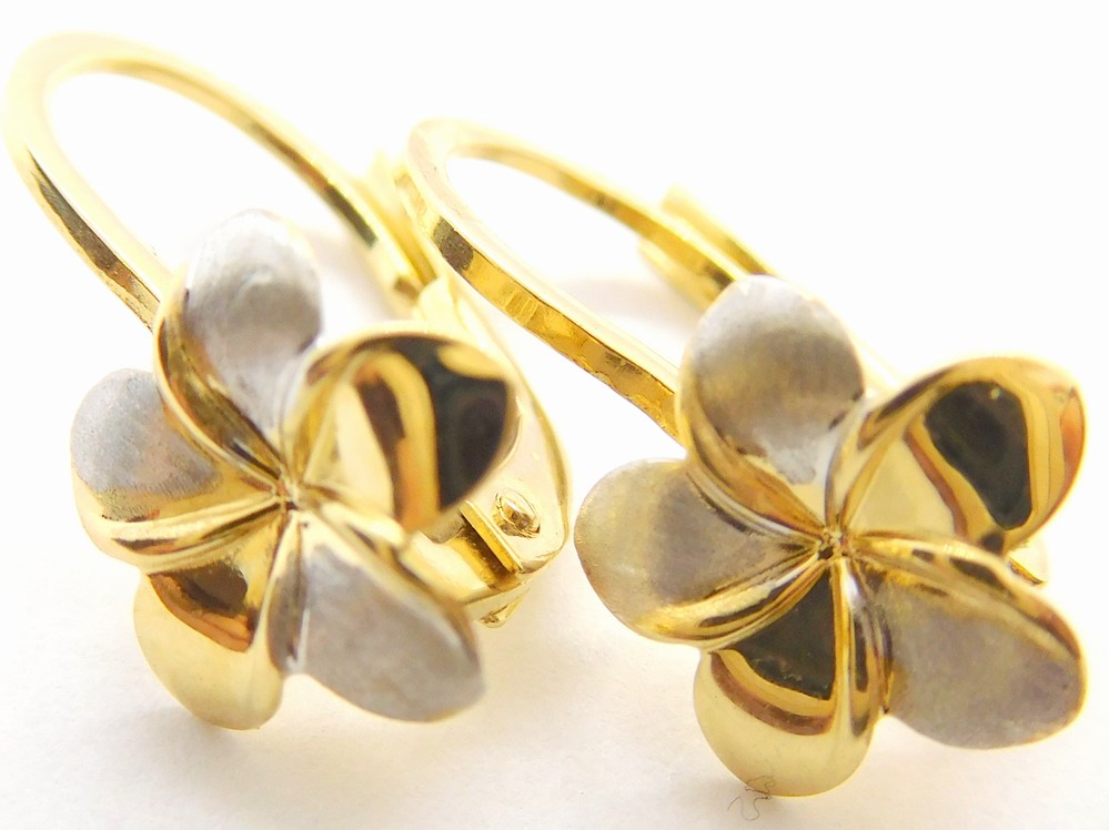 Klenoty Budín Dámské klasické zlaté náušnice z bílého a žlutého zlata 585/1,52gr HK2155