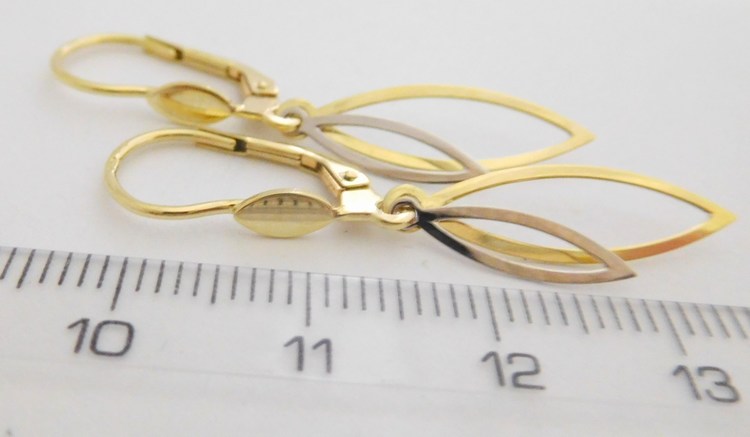 Klenoty Budín Zlaté visací náušnice z bílého a žlutého zlata 585/1,79gr 231040991