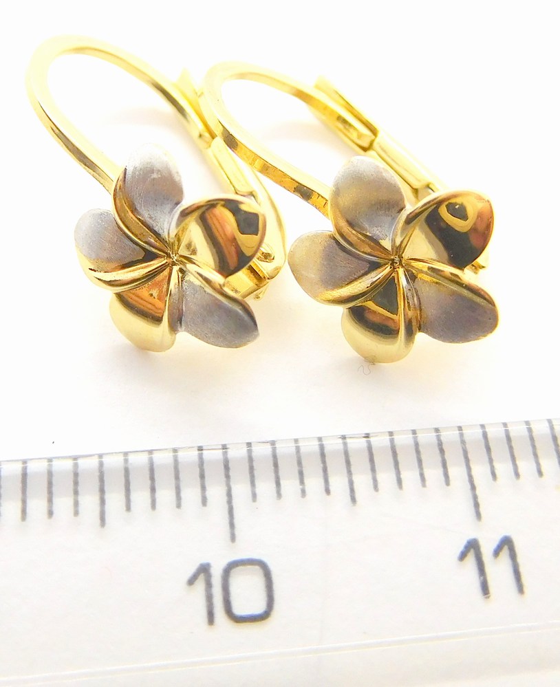 Klenoty Budín Dámské klasické zlaté náušnice z bílého a žlutého zlata 585/1,52gr HK2155