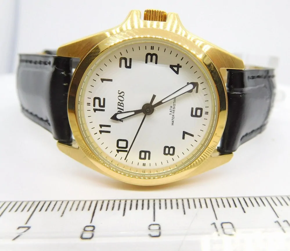 FOIBOS Čitelné ocelové dámské voděodolné hodinky Foibos CK1571.10