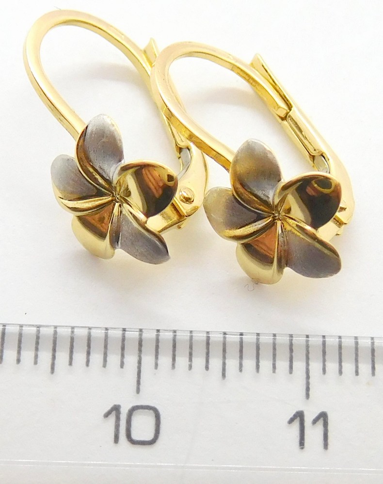 Klenoty Budín Dámské klasické zlaté náušnice z bílého a žlutého zlata 585/1,52gr HK2155