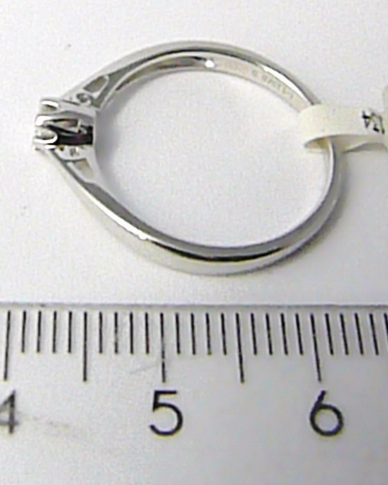 Klenoty Budín Zásnubní diamantový prsten z bílého zlata 0,07ct vel.libovolná 3861313