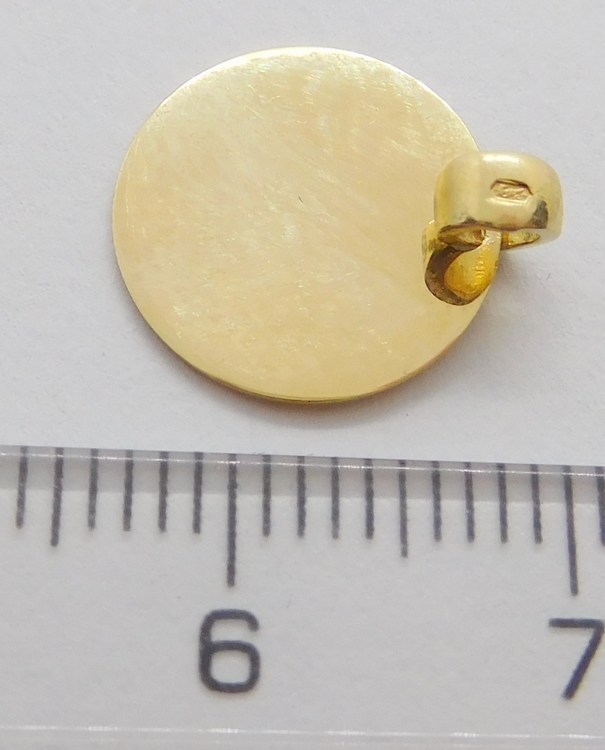Klenoty Budín Hladký zlatý přívěsek (vhodný pro gravírování) pr. 12mm 585/0,82gr HK3079