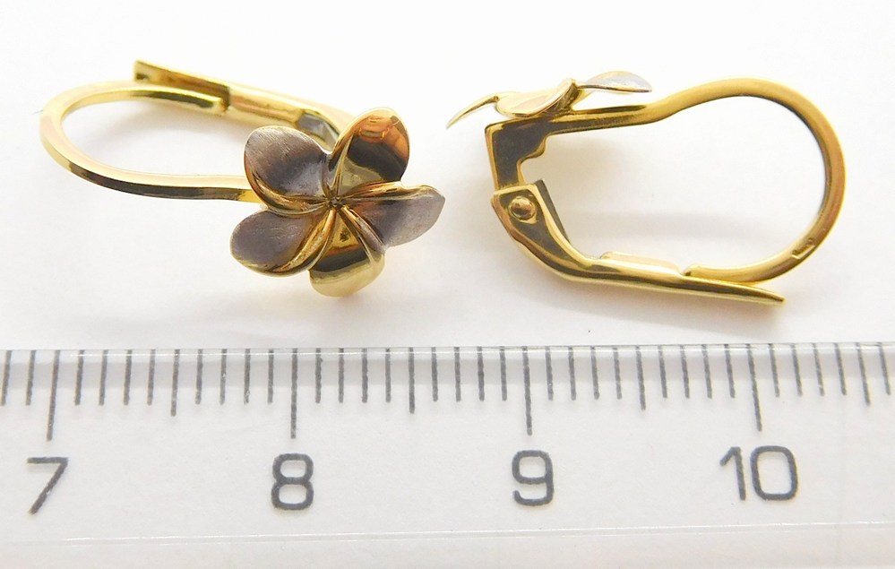 Klenoty Budín Dámské klasické zlaté náušnice z bílého a žlutého zlata 585/1,52gr HK2155