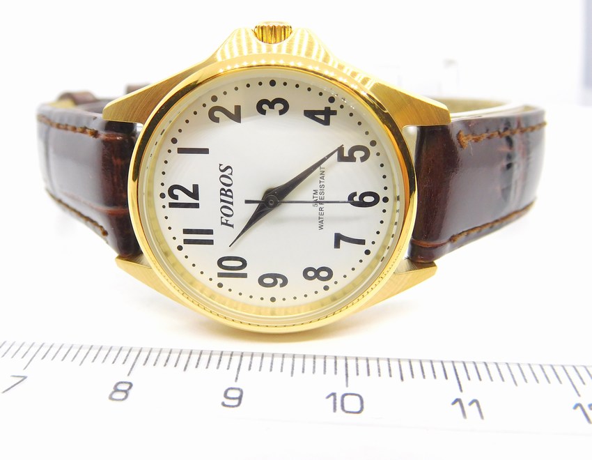 Foibos Čitelné ocelové dámské značkové voděodolné hodinky Foibos 3883.8 - 5ATM