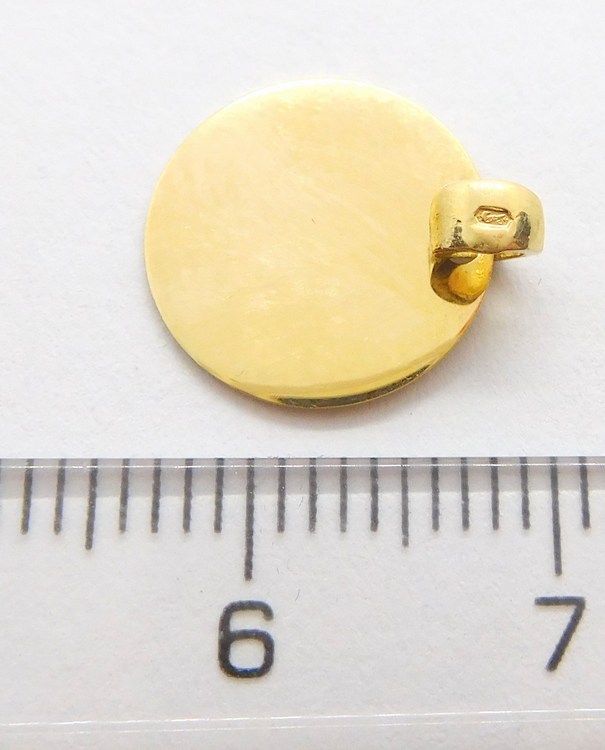 Klenoty Budín Hladký zlatý přívěsek (vhodný pro gravírování) pr. 12mm 585/0,82gr HK3079