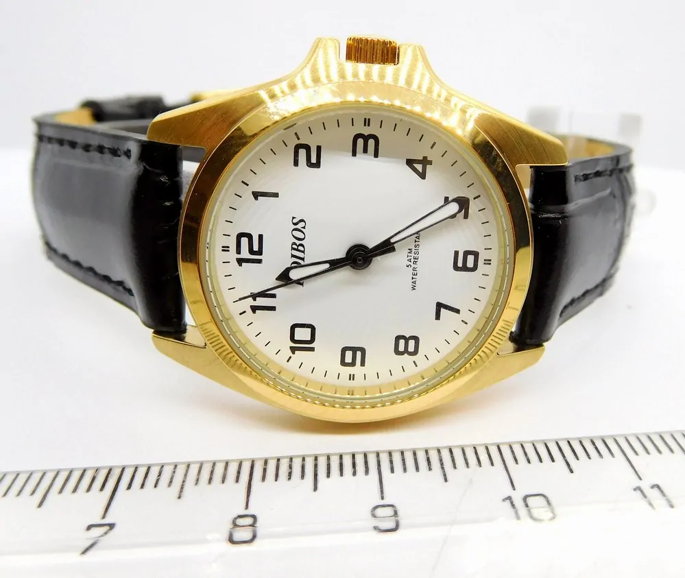 FOIBOS Čitelné ocelové dámské voděodolné hodinky Foibos CK1571.10