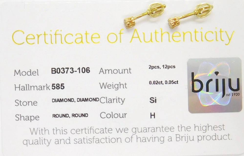 Klenoty Budín Dámské peckové zlaté náušnice s diamanty na šroubek 585/0,95gr 2ksx0,02ct + 12ks 0,05ct HKD65
