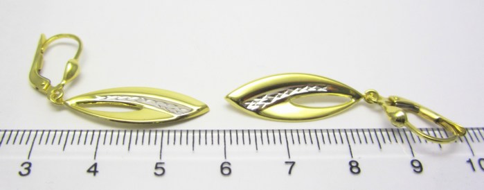 Klenoty Budín Dámské zlaté visací náušnice v kombinaci žlutého a bílého zlata 585/2,45gr HK2489